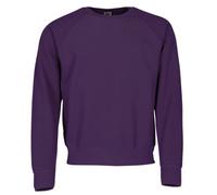 Fruit of the Loom - Sweatshirt 'Raglan Sweat' XXL,Purple