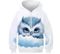 FSMHDG 3D Kinder Sweatshirt Eule - Modischer Kinder Hoodie, Vielseitiger Kinder Pullover Für Jugendliche, Ideal Für Freizeitaktivitäten