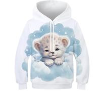 FSMHDG Kinder Hoodie Kätzchen - 3D-Druck Kinder Pullover, Komfortables Kinder Sweatshirt, Stylish Für Jungen Und Mädchen