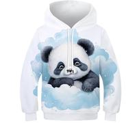 FSMHDG Kinder Hoodie Panda Mit Einzigartigem 3D-Motiv - Kinder Pullover Für Jeden Tag, Stylisches Kinder Sweatshirt Für Jungen Und Mädchen