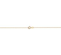 Fußkette FIRETTI "Schmuck Geschenk Gold 333 / 585 Körperschmuck Ankerkette diamantiert" Gr. 25, gold (gelbgoldfarben), Fußketten, Damen, 25, Gelbgold 585, Made in Germany (19979461-25) gelbgoldfarben