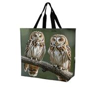 FZQVSGW Einkaufstasche für Damen, viele Cartoon-Katzen-Tragetasche, große Kapazität, Schultertaschen für Lebensmittel und Reisen, Eulen auf Ästen, 40x40x16cm