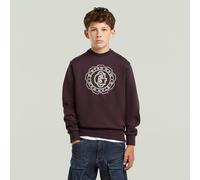 G-STAR Boys ALD Crew Sweatshirt Braun 8 CHOCOLAT PLUM D29172-01-J158-8