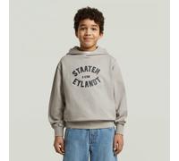 G-STAR Boys Rand Hoodie Sweatshirt Grau 8 grey alloy D29785-01-G276-8