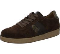 Gabor Damen Schnürschuhe 6011.02.004 6011.02 cacao normal 38½ EU