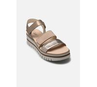 Gabor Damen Sandaletten, Frauen Sandalen,Best Fitting,offene Schuhe,Strandschuhe,Sommersandalen,bequem,flach,Mutaro-Kombi,38.5 EU / 5.5 UK