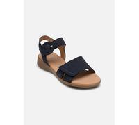 Gabor - Sandalen 82.802 - Blau - Größe 44