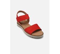 Gabor Damen Keilsandalen, Frauen Sandalen,Sommerschuhe,Freizeitschuhe,offene Schuhe,Strandschuhe,Keilsandaletten,fire (Kork/Creme),40 EU / 6.5 UK