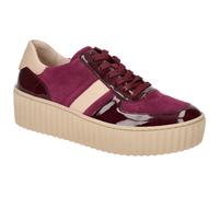 Gabor Damen Low-Top Sneaker, Frauen Halbschuhe,Freizeitschuhe,Turnschuhe,Laufschuhe,schnürschuhe,schnürer,aubergine/Sand,40 EU / 6.5 UK
