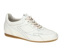 Gabor Damen Sneaker Comfort 86.565.50 Weiß Nappa H-Weite Low Gr. 40,5 (7 UK)