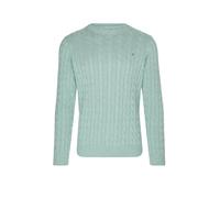 GANT Pullover grün | L
