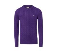 Gant Pullover Herren Baumwolle lila, M