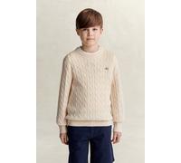 GANT Teenager Teen Boys Shield Pullover (176) CREAMED Weiß