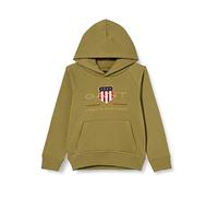 GANT Unisex Kinder Archive Shield Hoodie Kapuzenpullover, Utility Green, 170
