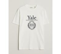 Gant YALE Crew Neck T-Shirt Eggshell Weiß XL