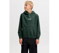 Gedruckt Kapuzenpullover Boys 176 Scarab