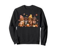 Gemütlicher Herbstdackel Hunde Kür ewürz Herbstsaison Sweatshirt