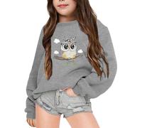Generisch 2025 Kinder Winter Buchstaben bedrucktes Rundhals-Langarm-Sweatshirt Mädchen Pullover Teenager (Grey, 11-12 Years)