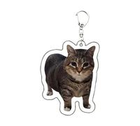 Generisch Adorable Cat Keychain, Acrylic Cat Charm, Collectible Animal Accessory for Teens, Adults, Couples, Friends, School Bags, Handbags, Unique Gift Idea, Cute Fashion Ornament, Pet Lover Keyring