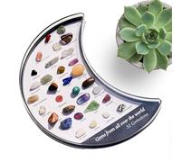 Generisch Crystal Display Case | 32 Gems Natural Jewelry Set, Natural Crystals Rock Collection Box for Home Bedroom Bathroom Office Apartment Dorm Women Men Birthday Holiday Party