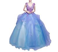 Generisch Damen Lang Brautkleid Hochzeitskleid Prinzessinkleid Elegant Maxi Abendkleider für Moderator Hochzeit Abendessen V-Ausschnitt Ärmellos Cocktailkleid Rockabilly Ballkleid Partykleid