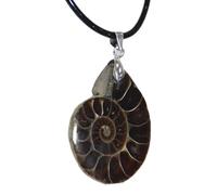 Generisch Natürlicher Ammonit Fosšil Anhänger - Ammonit Ƒossilien Halskette Conch Fosšil Anhänger Rohstein Mineral Schmuck Unisex 30-35mm