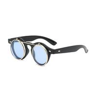 Generisch Retro Runde Sonnenbrille für Damen & Herren, Vintage Brille mit Clip-On Gläsern Sunglasses Alltagsbrille