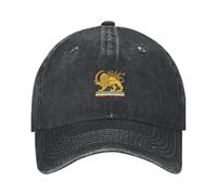 Generisch Trucker-Kappe mit USA-Flagge - verstellbare Snapback-Mesh-Mütze, leistungsstarke, kühlende Sportkappe für Golf, Radfahren und Outdoor | Premium bestickte patriotische Mütze für Erwachsene