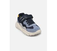 GEOX Schuhe Ciufciuf Baby Marineblau/dunkles Azurblau 21