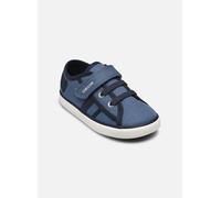 Geox - B Gisli Boy A - blau - Sneaker - Größe 22
