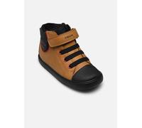 Geox B Gisli C Sportschuhe (Herstellerartikelnummer: B461NC0MEFU-C2G9B-20)