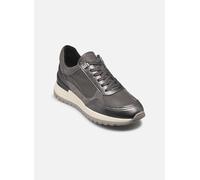 Geox Sneaker D DESYA A Damen Grau Größe 38
