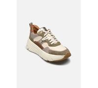GEOX Schuhe Diamanta Dame Grün/beige 39