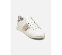 Geox Jaysen E Sportschuhe (Herstellerartikelnummer: D361BE085BN-C1327-38)
