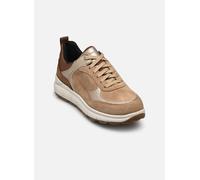 GEOX Schuhe Spherica 4x4 Abx Dame Dunkelbeige/hellgold 39