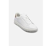 Geox Spherica Ecub-1 Sportschuhe