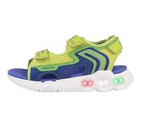 Geox J WROOM Boy Sandal, LIME/ROYAL, 32 EU