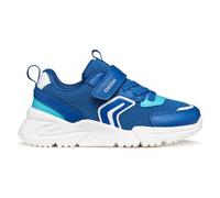 GEOX Schuhe Loftus Junge Königsblau/azurblau 29