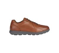 Geox - U SPHERICA EC12 A - braun - Sneaker - Größe 44