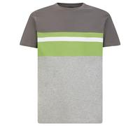 Geox Men's COL.Block T-Shirt, Smoked Pearl/Light M, L