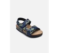 Geox - Sandalen B Sandal Chalki Boy - blau - Größe 23