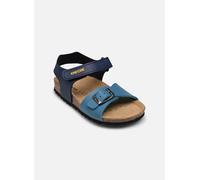 Geox Chalki Baby Sandals Blau EU 20 Junge (Herstellerartikelnummer: B922QA000BC-C4186-20)