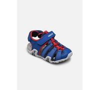 Geox - Sandalen B Sandal Kraze B1524A - blau - Größe 21