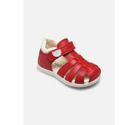 Geox B MACCHIA Boy Sandal, RED/White, 20 EU Schmal