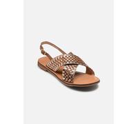 Geox Sandalen D MADDALUSIAC in Braun 39