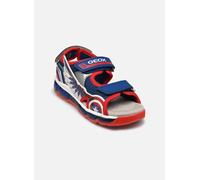 Geox J Android Boy Sandal, Blue/RED, 25 EU