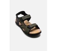 Geox - Sandalen UOMO SANDAL STRADA D - Grün - Größe 40