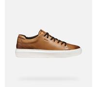 GEOX Schuhe Deiven Herr Hellbraun 42