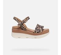 GEOX Schuhe Gardenia Dame Leder 39,5