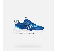 GEOX Schuhe Loftus Junge Königsblau/azurblau 33